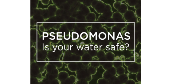 White text saying Pseudomonas, is your water safe? . Field of green bacteria in background