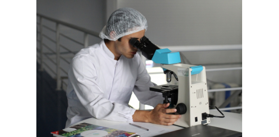 scientist looking into microscope over petri dish