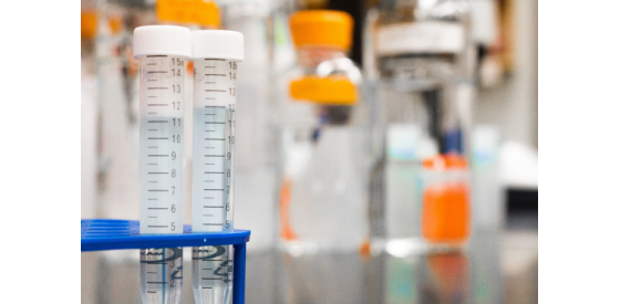 Chemistry vials sitting on a table with clear liquid