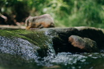 Taste in Drinking Water — Water Library | Acorn Water Taste in Drinking Water — Water Library | Acorn Water
