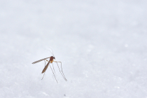 Pesticides in Drinking Water — Water Library | Acorn Water Pesticides in Drinking Water — Water Library | Acorn Water