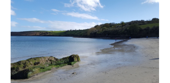 Polluted Beaches in Urban Areas - H2OLabcheck News Polluted Beaches in Urban Areas - H2OLabcheck News