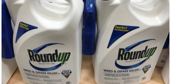 California jury orders Monsanto to pay school groundskeeper $289 million in Roundup weed-killer court trial